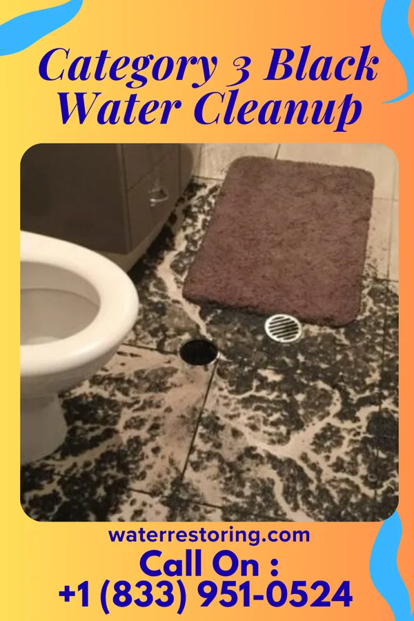 Category 3 Black Water Cleanup in Williamsfield, IL