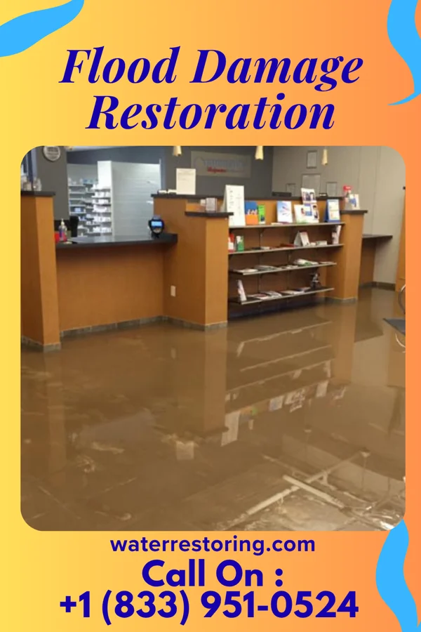 Flood Damage Restoration in Williamsfield, IL