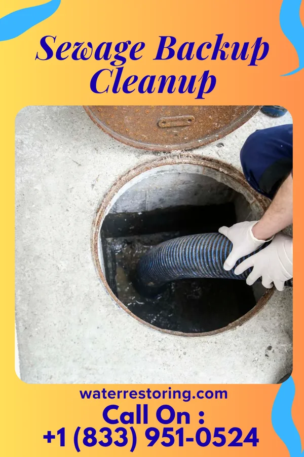 Sewage Backup Cleanup in Williamsfield, IL