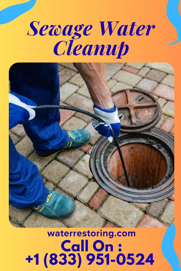 Sewage Water Cleanup in Williamsfield, IL