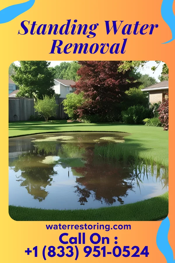 Standing Water Removal in Williamsfield, IL